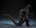 Godzilla vs Biollante 1989 Movie Graphic Plus Godzilla Tamashii Nations S.H. Monster Arts Figure