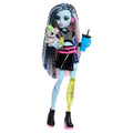 Monster High doll with long hair, colorful outfit, and accessories on a white background