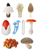 Collection of various toy mushrooms on a white background