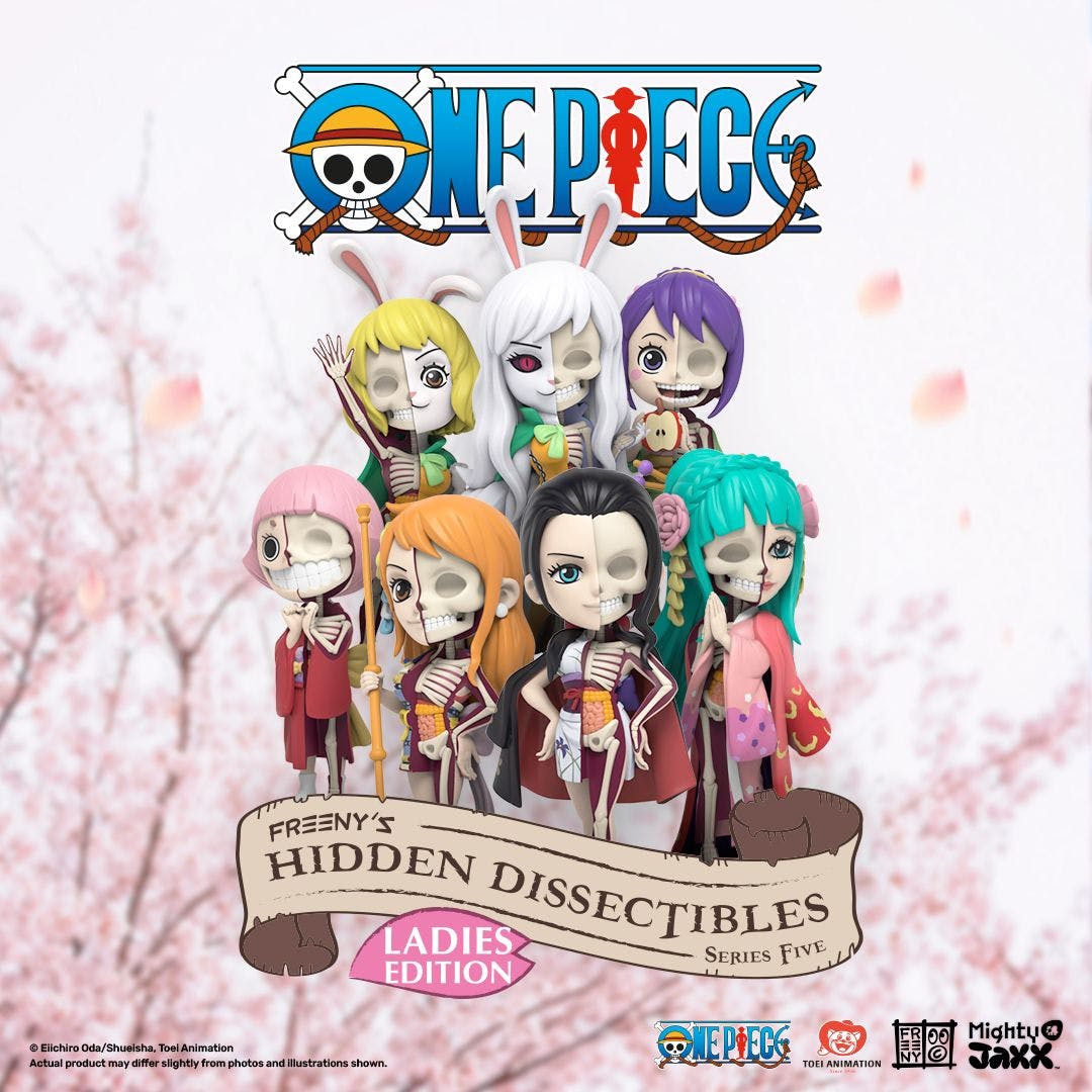 One Piece Freeny's Hidden Dissectibles [Series 5] [Ladies Edition] Blind Box [1 of 6, 1 Secret Rare]