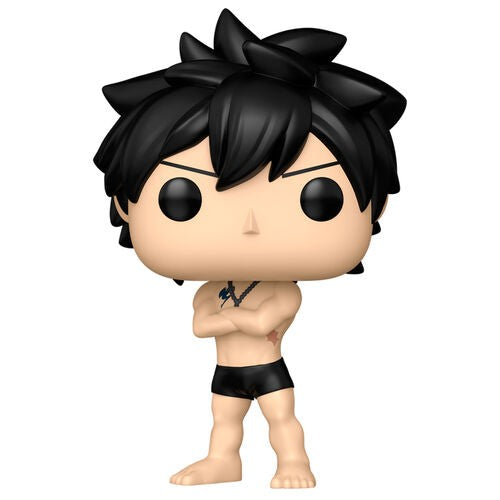 Fairy Tail 100 Years Quest Gray Funko Pop! Vinyl Figure #2287