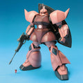 Gundam MG MS-14S Gelgoog Ver 2.0 Zeon Char 1/100 Scale Master Grade Model Kit