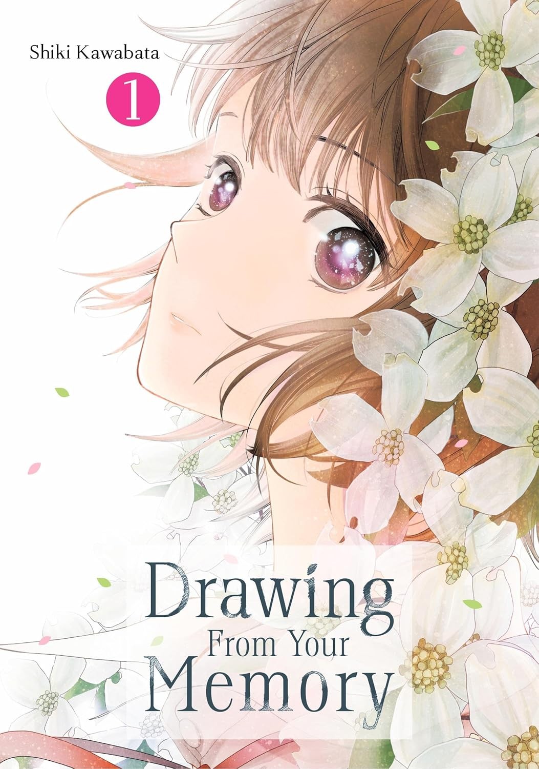 Drawing From Your Memory Vol. 01 by Shiki Kawabata