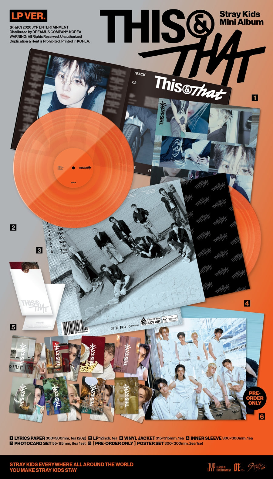 Stray Kids Mini Album [THIS & THAT] LP Version