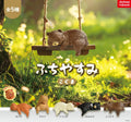 bear resting on swing with grass background blind box